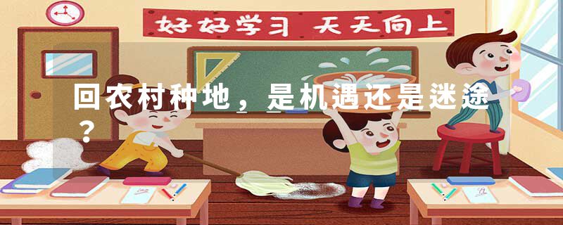 回农村种地，是机遇还是迷途？