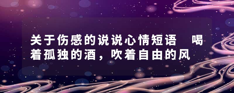 关于伤感的说说心情短语 喝着孤独的酒，吹着自由的风