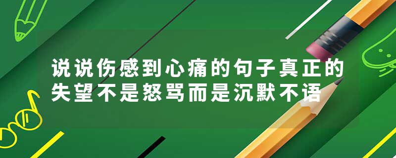 说说伤感到心痛的句子真正的失望不是怒骂而是沉默不语