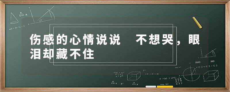 伤感的心情说说 不想哭，眼泪却藏不住