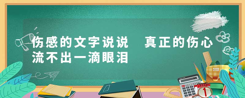 伤感的文字说说 真正的伤心流不出一滴眼泪