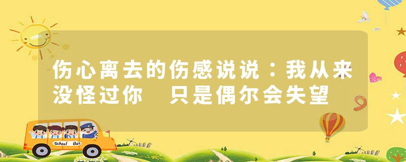 伤心离去的伤感说说：我从来没怪过你 只是偶尔会失望