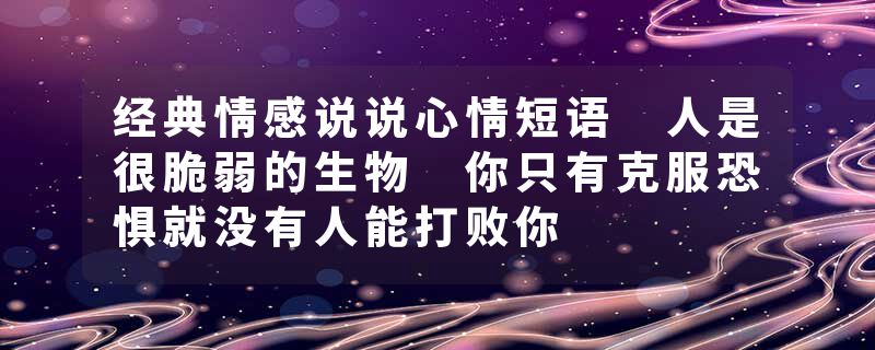 经典情感说说心情短语 人是很脆弱的生物 你只有克服恐惧就没有人能打败你