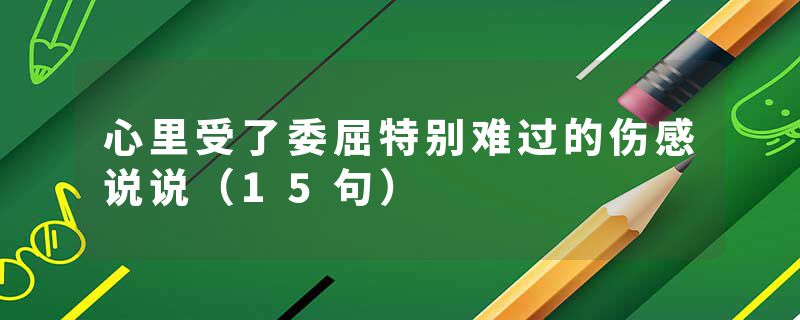 心里受了委屈特别难过的伤感说说（15句）