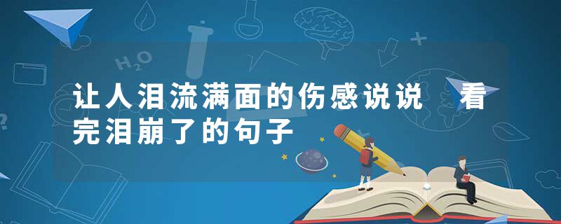 让人泪流满面的伤感说说 看完泪崩了的句子