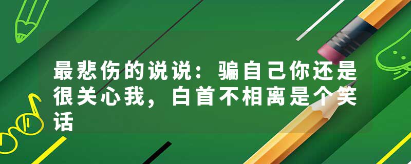 最悲伤的说说:骗自己你还是很关心我,白首不相离是个笑话