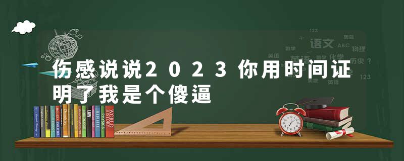 伤感说说2023你用时间证明了我是个傻逼