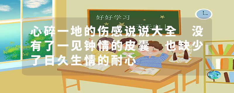 心碎一地的伤感说说大全 没有了一见钟情的皮囊 也缺少了日久生情的耐心