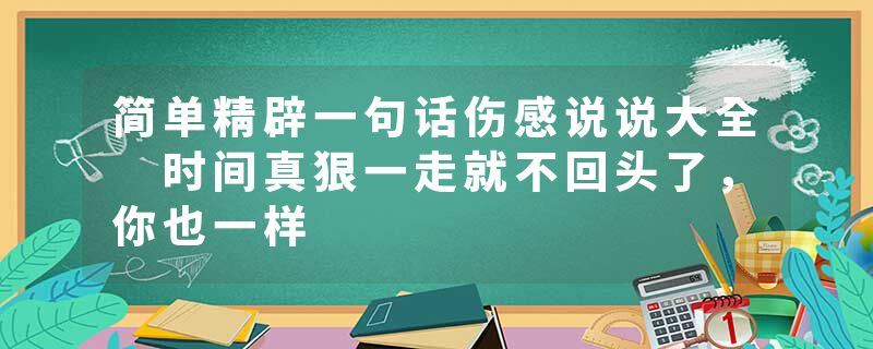 简单精辟一句话伤感说说大全 时间真狠一走就不回头了，你也一样