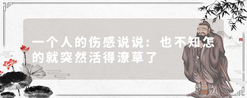 一个人的伤感说说:也不知怎的就突然活得潦草了