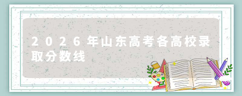 2026年山东高考各高校录取分数线