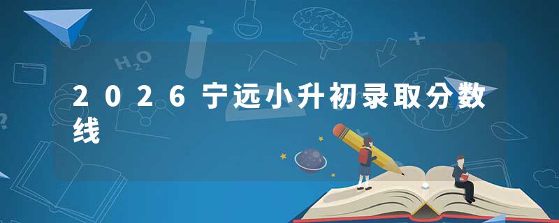 2026宁远小升初录取分数线