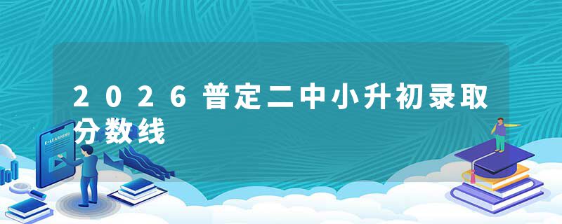 2026普定二中小升初录取分数线