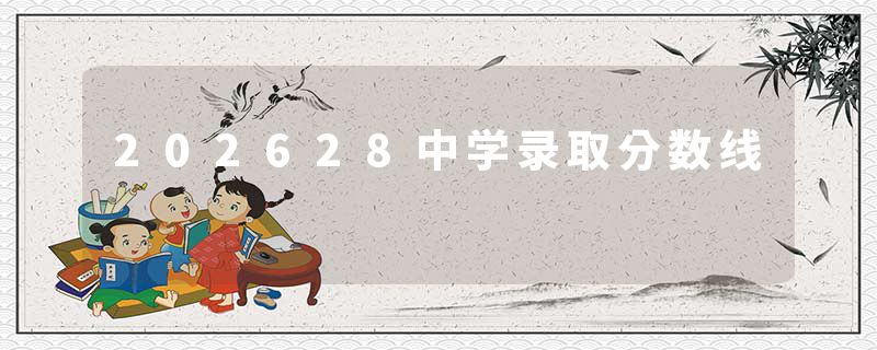 202628中学录取分数线