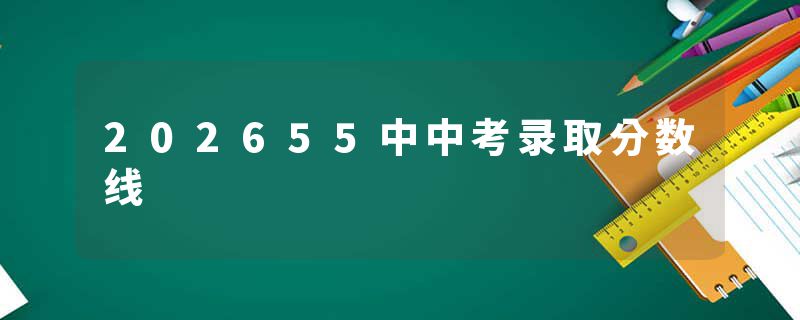 202655中中考录取分数线