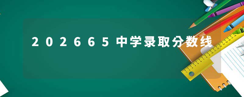 202665中学录取分数线
