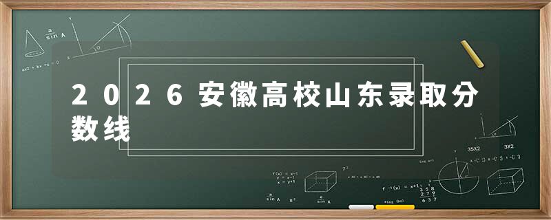 2026安徽高校山东录取分数线