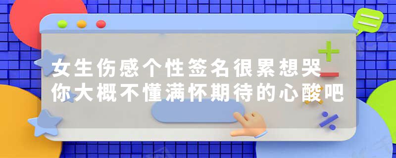 女生伤感个性签名很累想哭 你大概不懂满怀期待的心酸吧