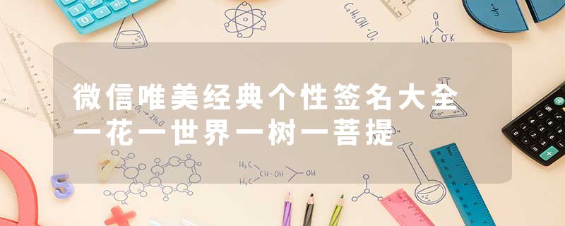 微信唯美经典个性签名大全 一花一世界一树一菩提