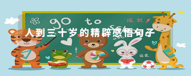 人到三十岁的精辟感悟句子
