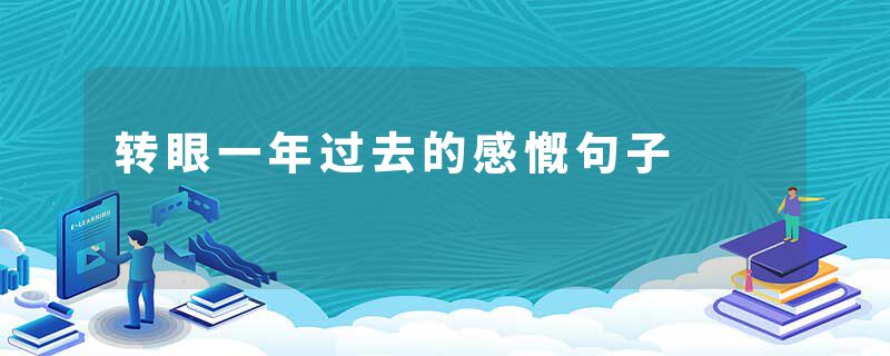 转眼一年过去的感慨句子