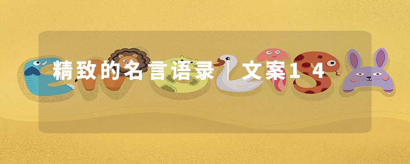 精致的名言语录｜文案14