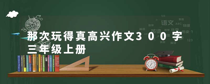 那次玩得真高兴作文300字三年级上册