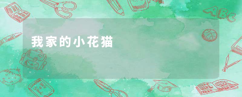 我家的小花猫