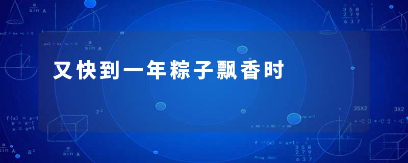 又快到一年粽子飘香时