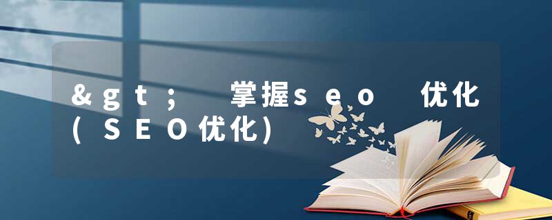 > 掌握seo 优化(SEO优化)