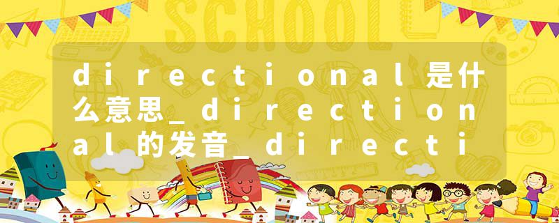directional是什么意思_directional的发音_directional的用法_directional怎么记_directional翻译