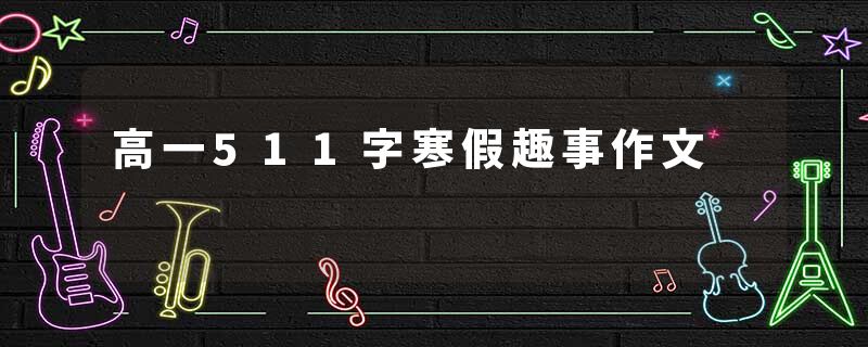 高一511字寒假趣事作文