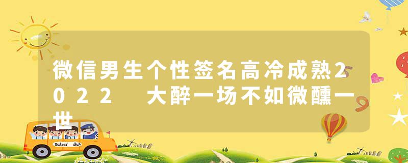 微信男生个性签名高冷成熟2022 大醉一场不如微醺一世