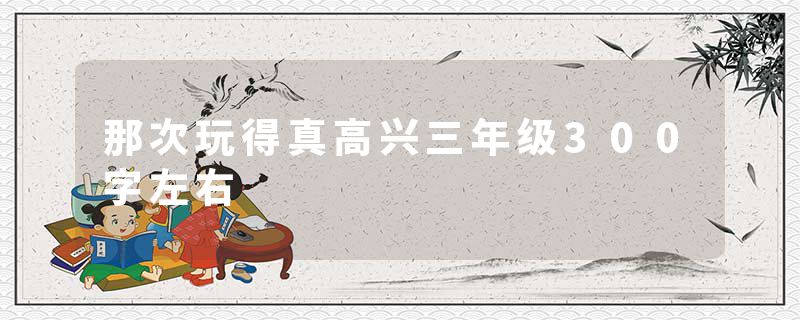 那次玩得真高兴三年级300字左右
