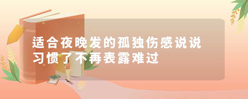 适合夜晚发的孤独伤感说说 习惯了不再表露难过