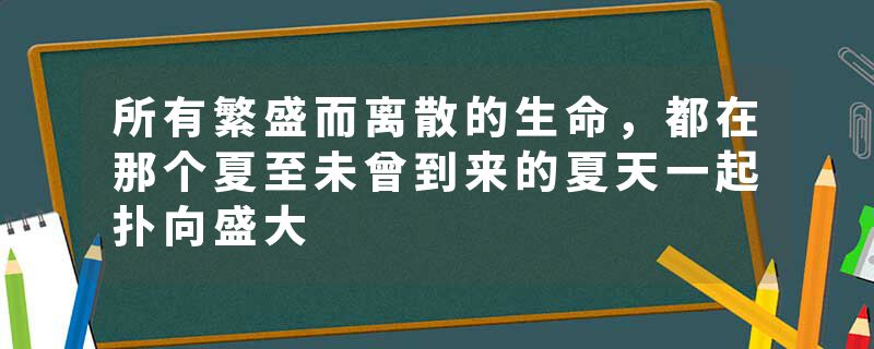 所有繁盛而离散的生命，都在那个夏至未曾到来的夏天一起扑向盛大